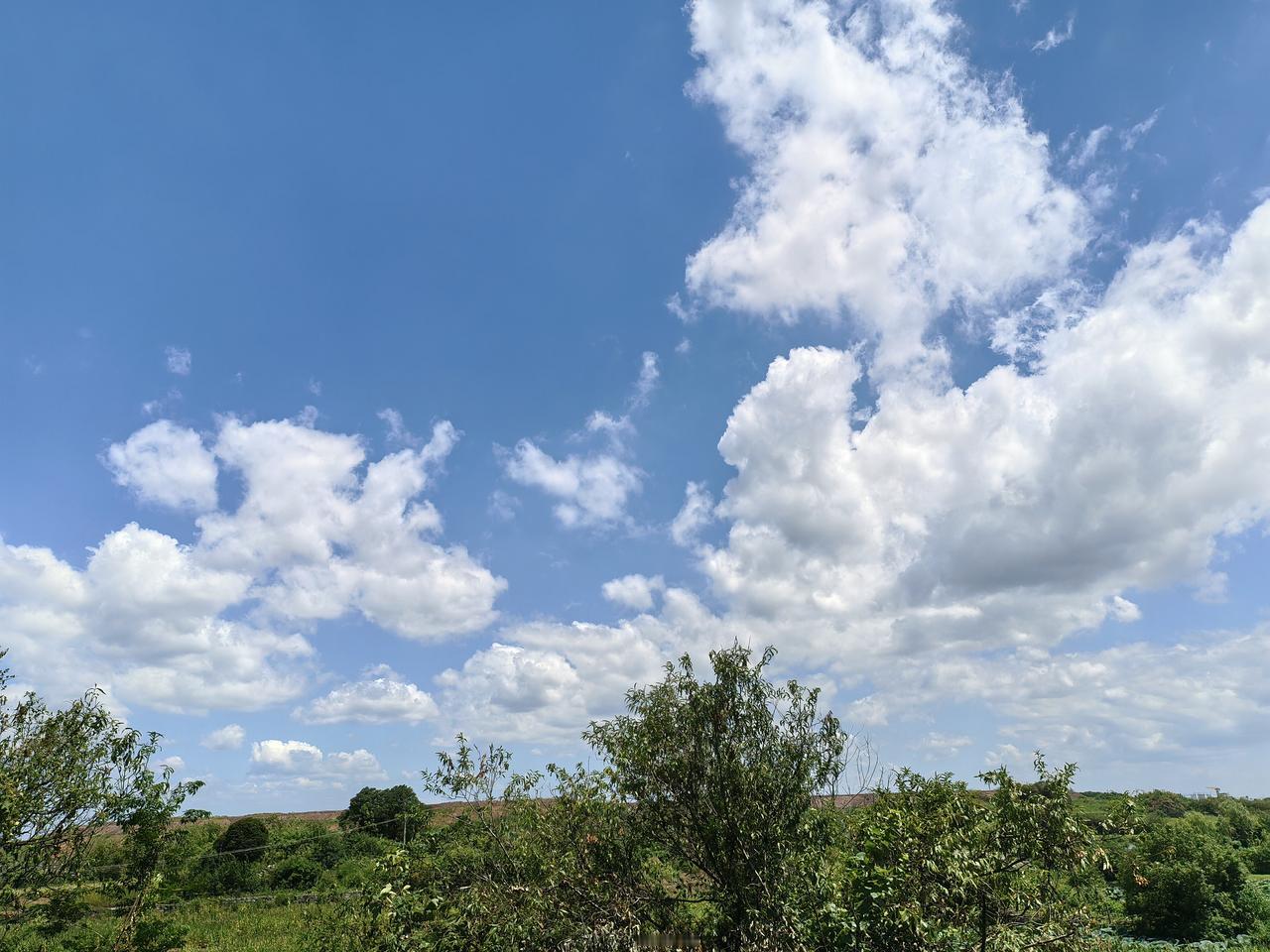乡下的风景