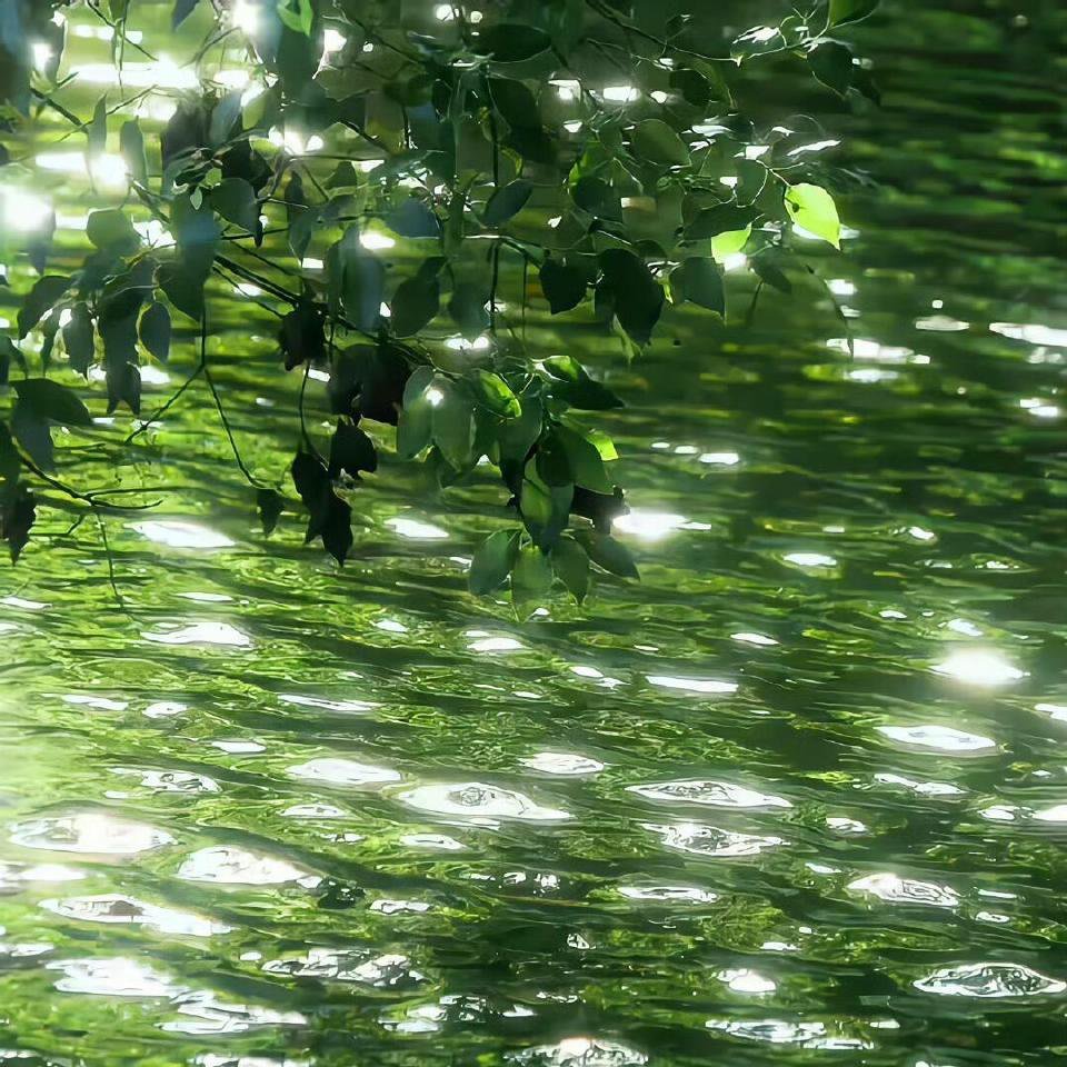 温柔以待，善意相伴，便是对生活最好的回应。每日留一份善念在心底，付诸一份善举在日