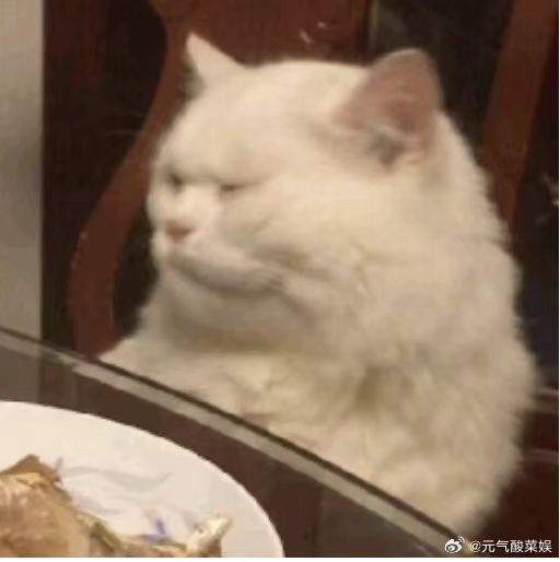 #郑业成俞灏明嫌弃纪凌尘腋毛# 哈哈哈，老纪你这腋毛浓密得，我都想问问能不能匀点