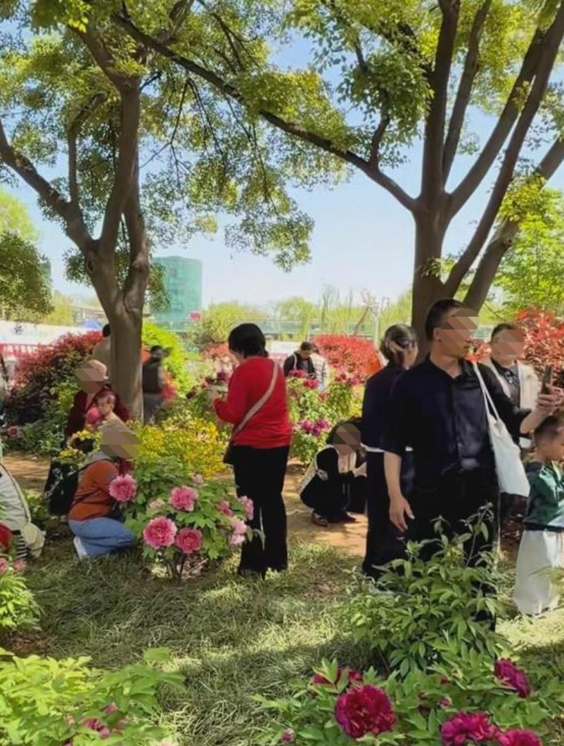 坐标济南植物园，也就是现在的泉城公园！
近日牡丹盛开，游人如织，但在周边有围栏，