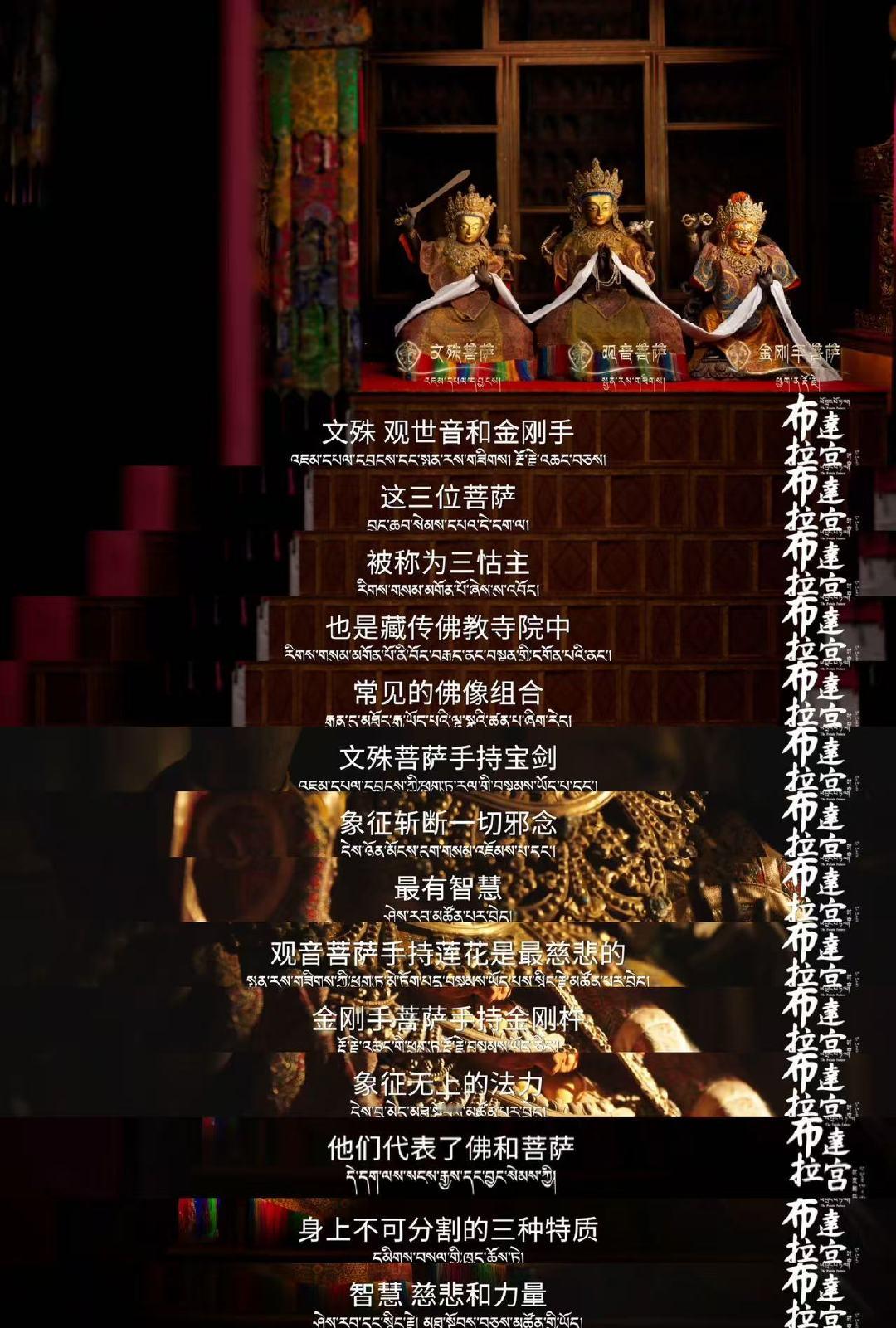 《水龙吟》“狐狼狗”探案团笑点与高能齐飞，罗云熙组队自带化学反应，默契值直接爆表