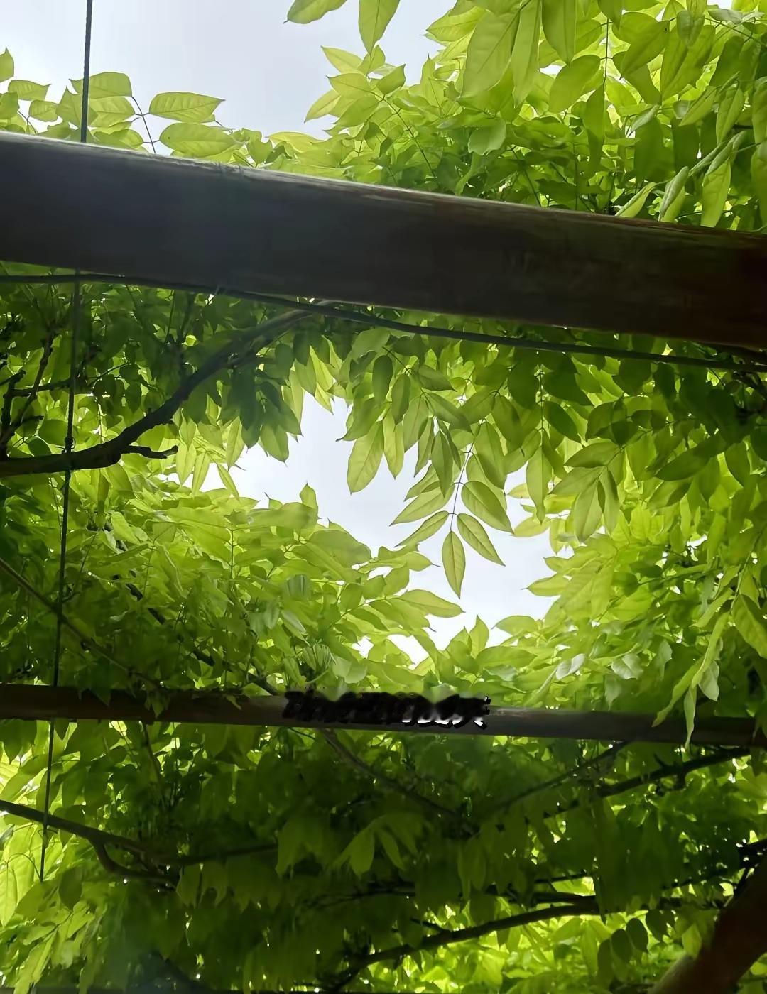 ☀️
美好的一天开始啦！

2026年6月6日，星期六，年度最“六”的一天。愿您
