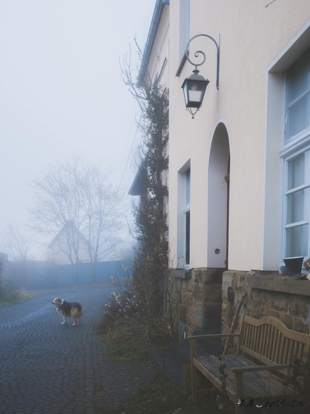 如果有人做饭给你吃，要感恩
许多年前在一位长自己十来岁的朋友家吃饭，他说了这句很