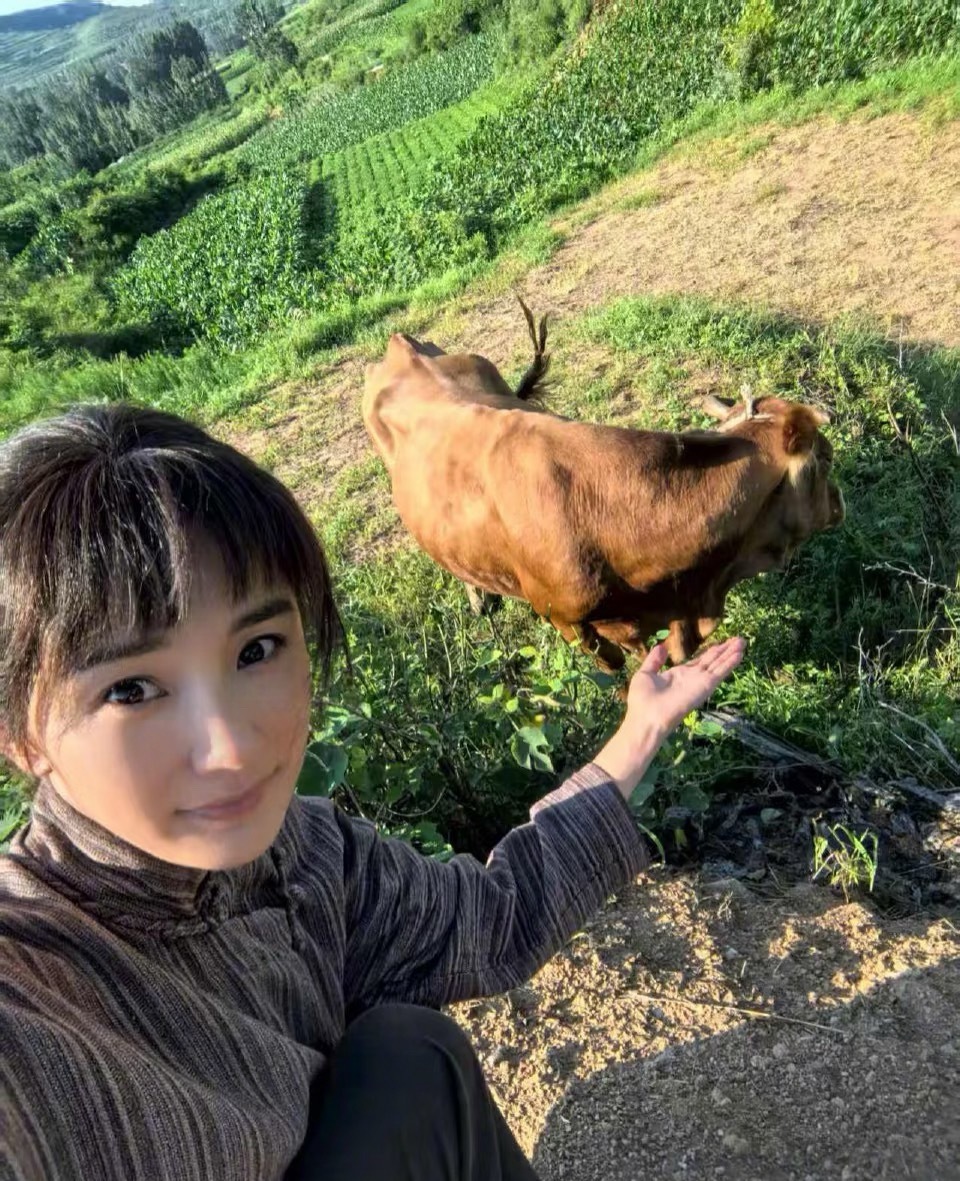 杨幂真去种地吧大棚了杨幂做梦也没想到自己有一天会去放牛，种地[允悲] ​​​