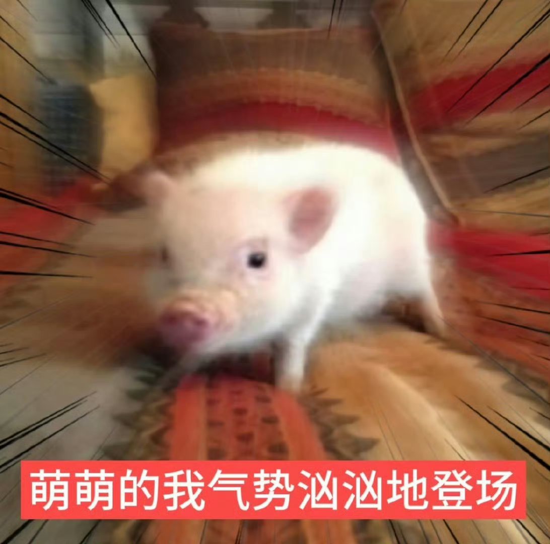 辣梨的小三来视察啦 