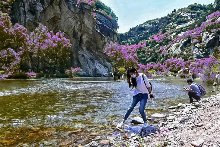 出句：爱美一枝花照水（雪浪）