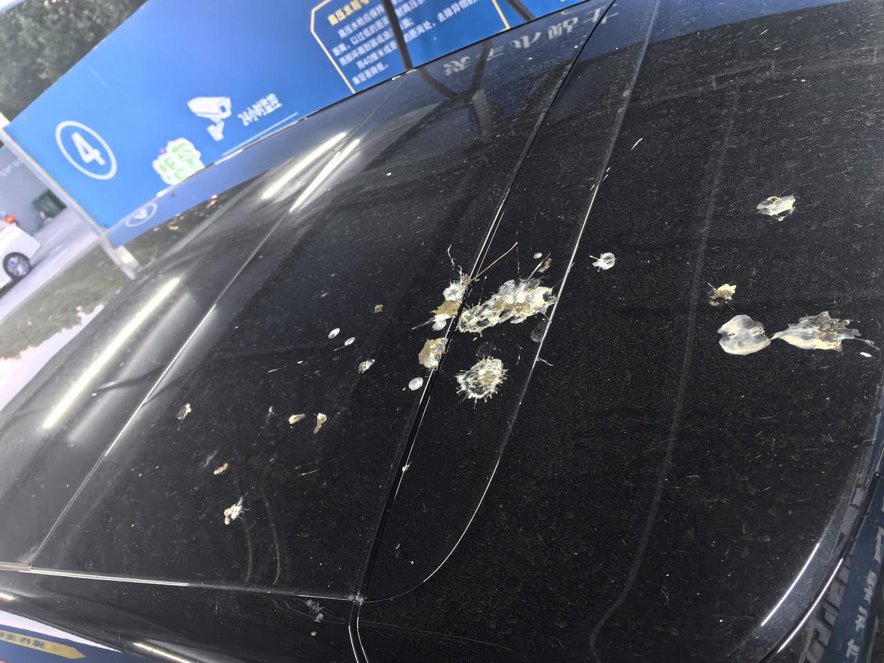 认真的吗，黑车白💩，白车黑💩，原来是经过培训的[笑哭][笑哭][笑哭]【来自