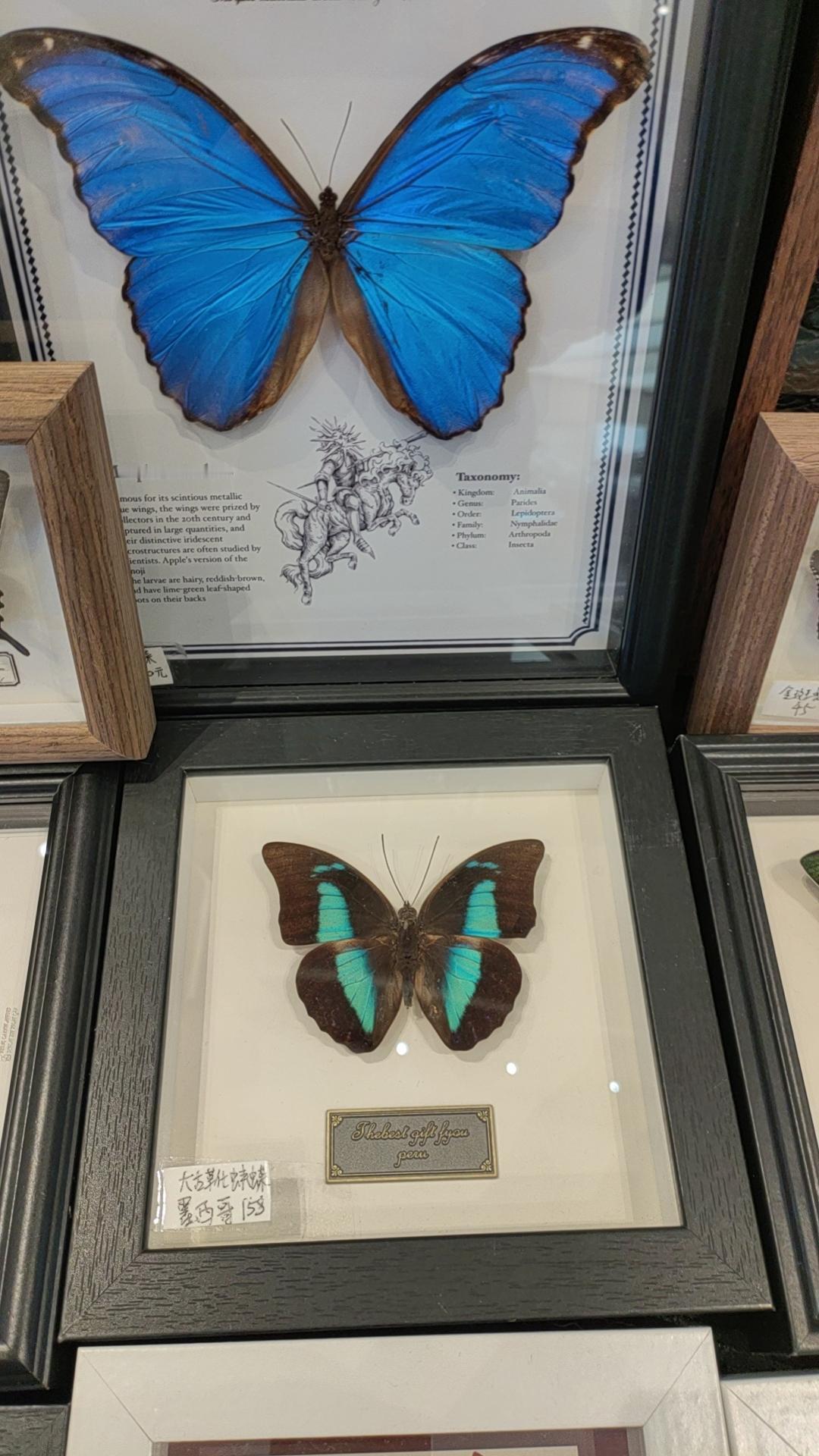 晒图笔记大赛 
晒图笔记大赛
昨晚上
一人在家
无聊出门漫步
来到对面天虹商场