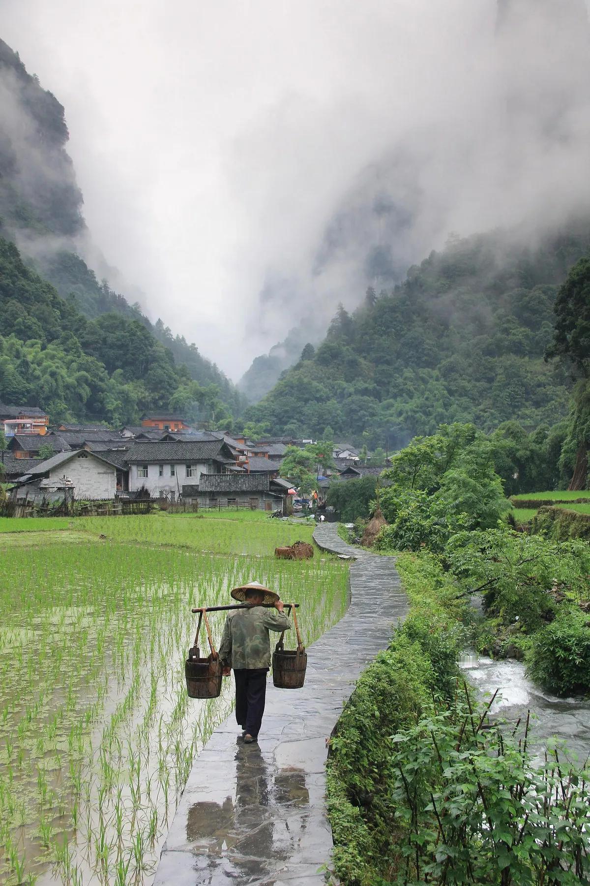 高阳台·村中晚望
文/莲花书院

空闭柴门，流莺去也，西窗未晚托幽。
恨逐孤萍，