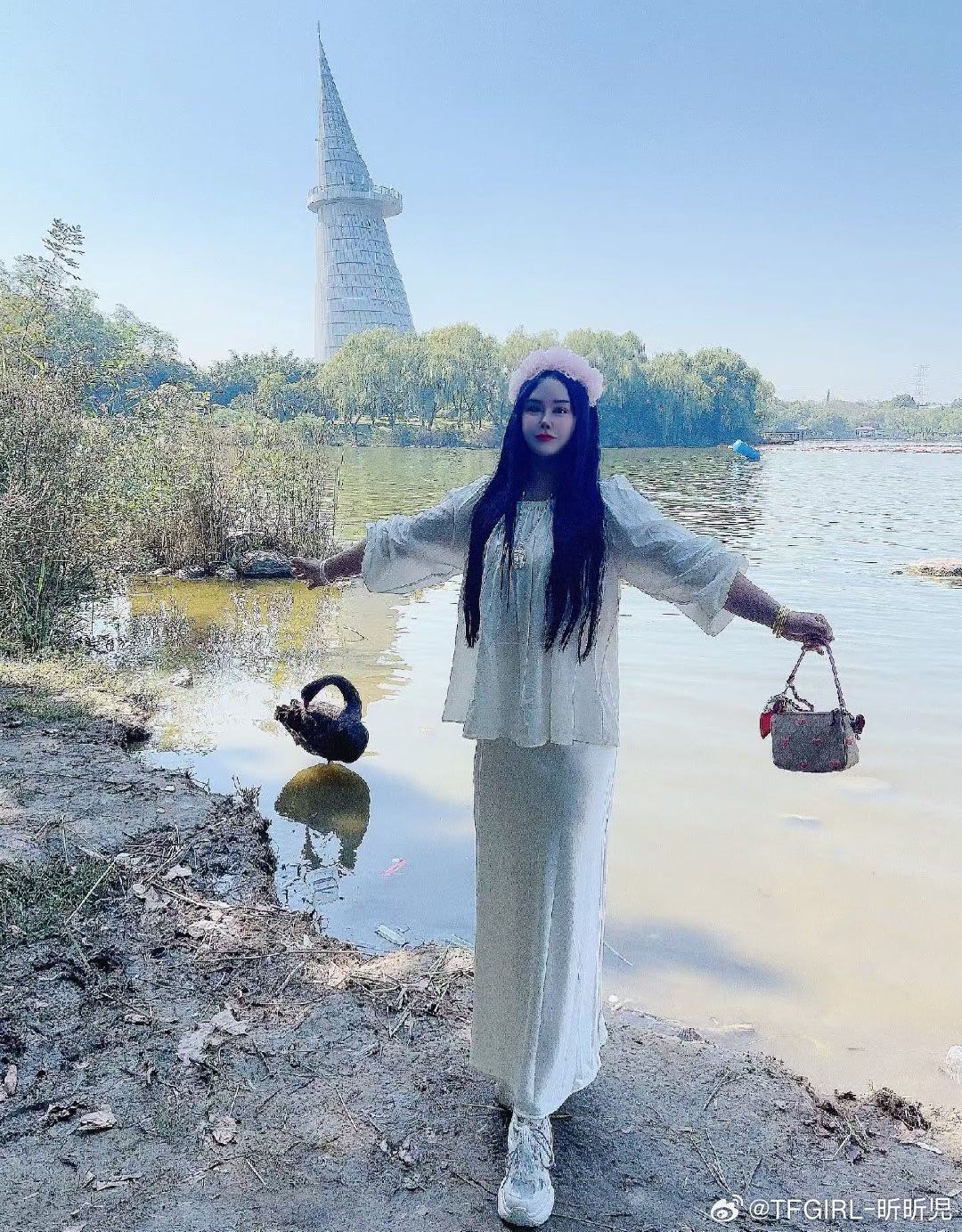 翩若惊鸿，婉若游龙湖畔，天鹅，好时光… ​​​