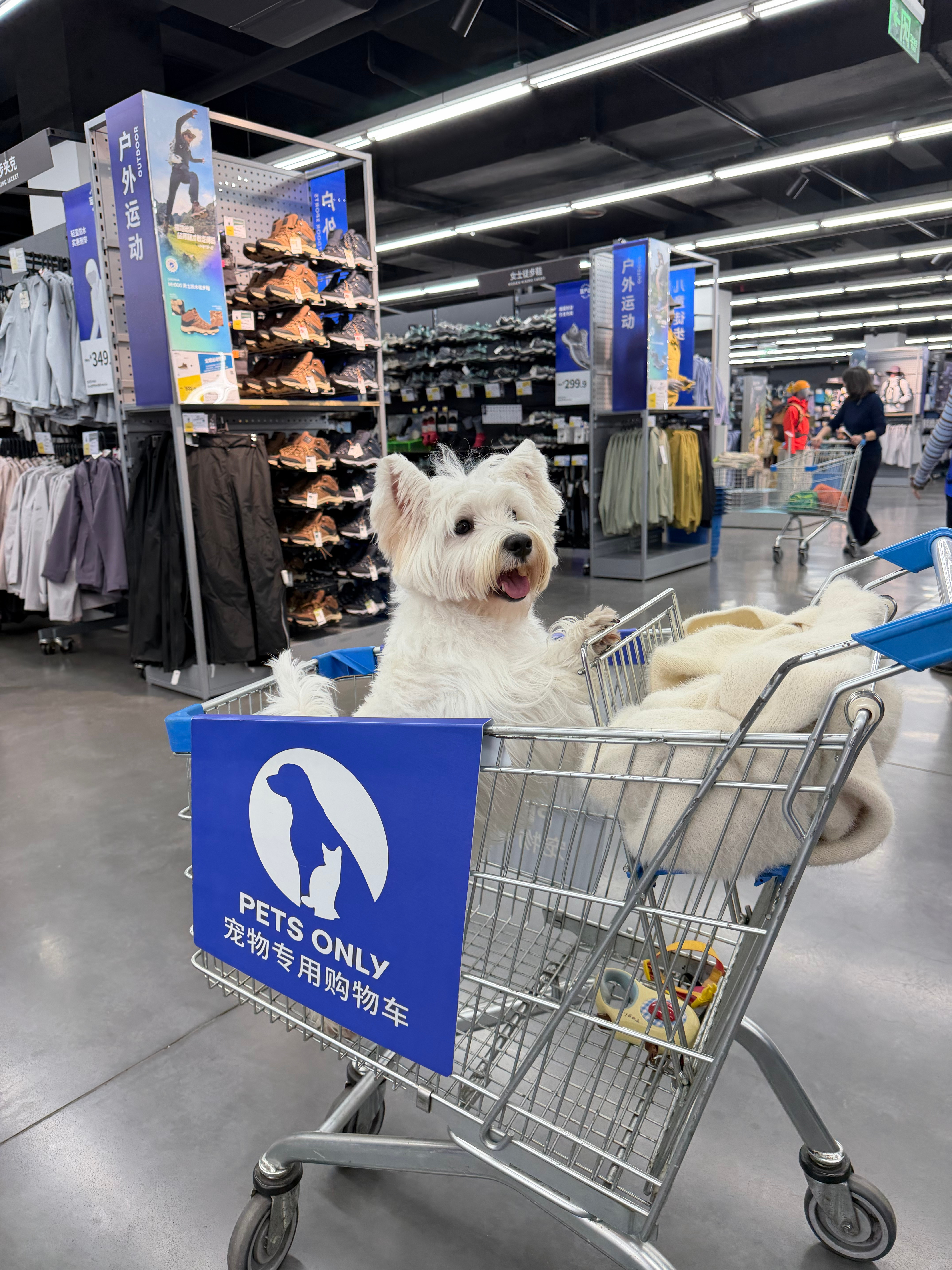 来逛迪卡侬 还有宠物专用推车🛒真8错！我的日常plog