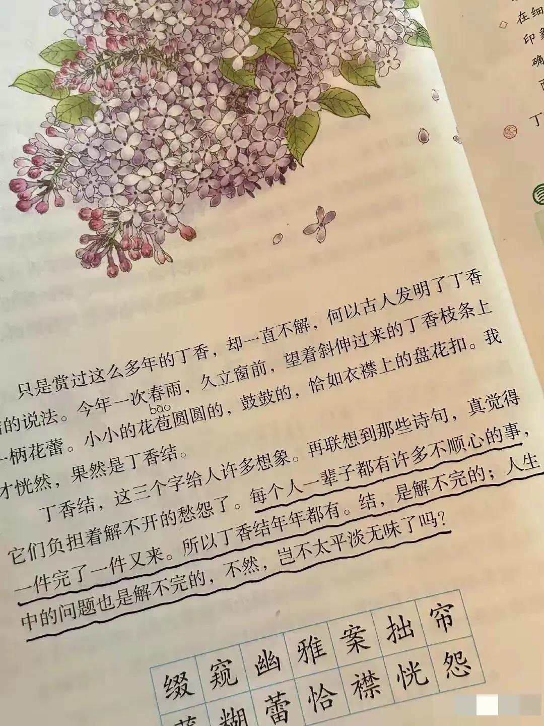 看了《丁香结》
果然语文里没有一篇课文是充数的！