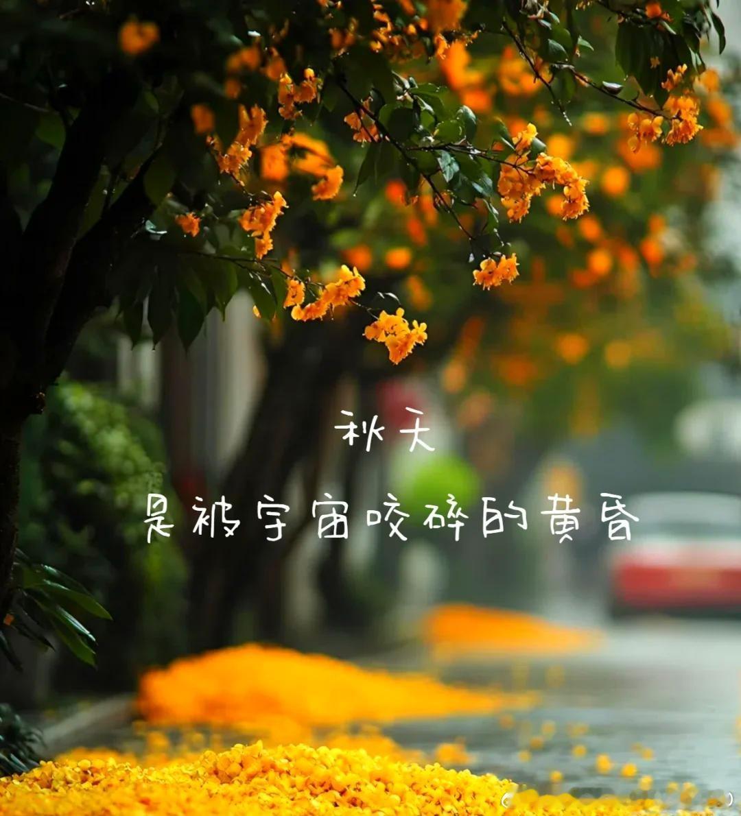 生活细碎，万物成诗，记得捡起日子的浪漫！ 