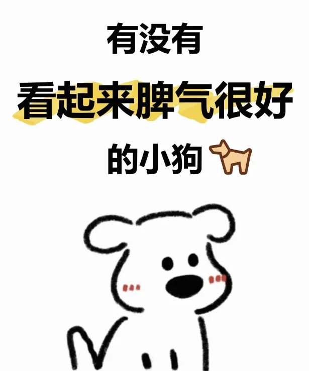 有没有看起来脾气很好的小狗呀 🐕