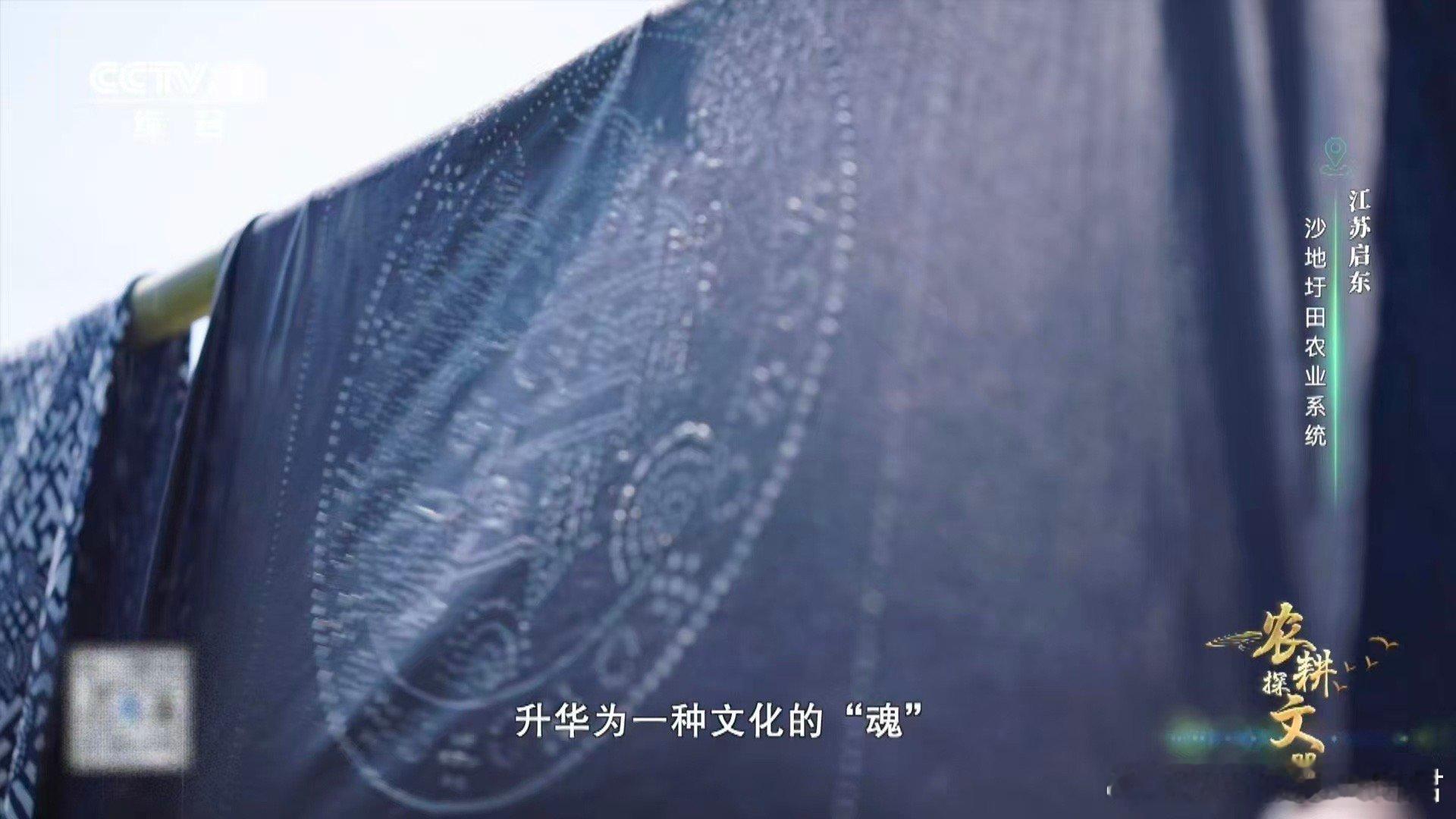 蓝印花布是东方审美的隐藏款江苏启东人用20多天染出一块布 二十余天，数十道工序，