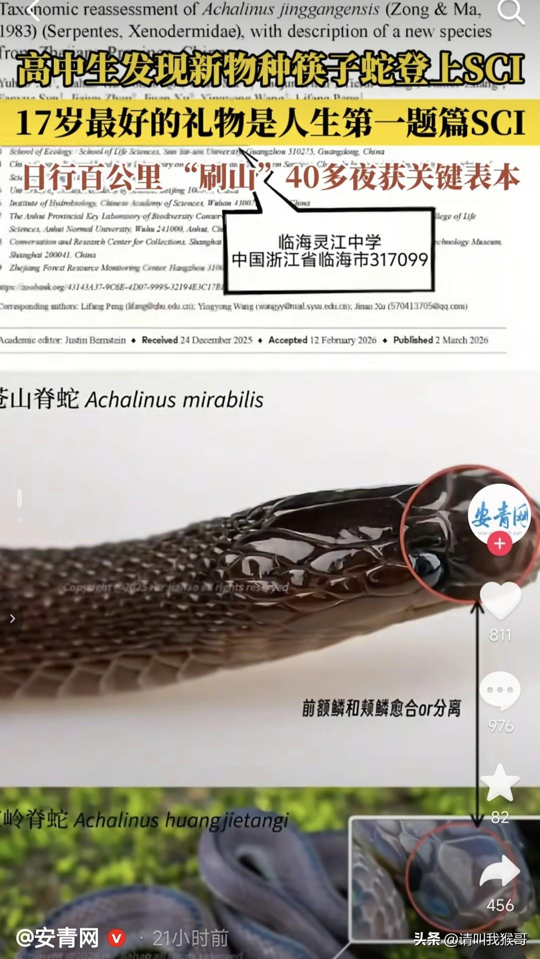 为什么大家都质疑这个发现新物种“筷子蛇”的17岁高中生呢？综合了一下网友的观点，