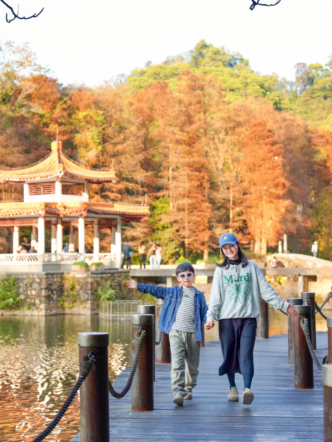 深圳📍2025仙湖植物园不费腿环园攻略