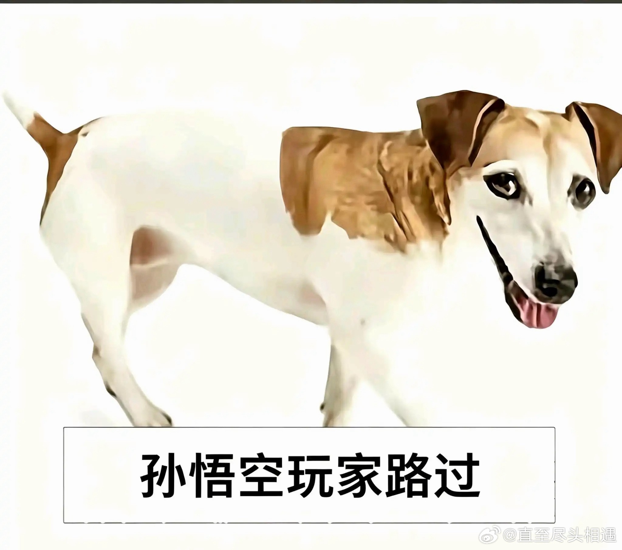 立刻马上给我删除六耳猕猴，删除孙悟空