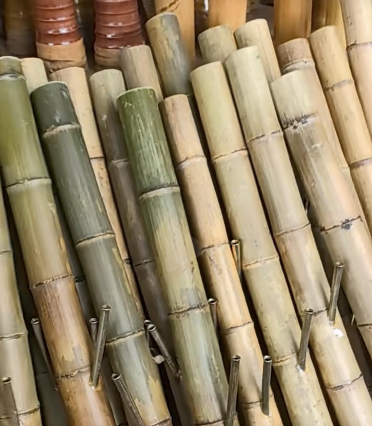 水烟筒，又叫“大碌竹”，
广东粤西湛江吴川，茂名，高州，开平，恩平，阳江至今仍是