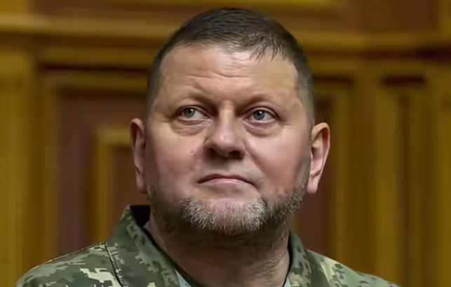 仗打完了，事就完了？乌克兰前总司令扎卢日内最近发出警告：等俄乌冲突一结束，乌克兰