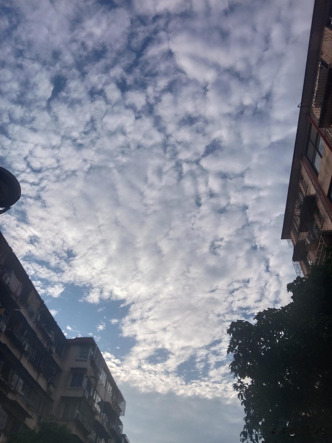 是不是欧洲球队不适应美洲的气候？这有点牵强。荷兰队中，由于过去殖民地和宗主国的关
