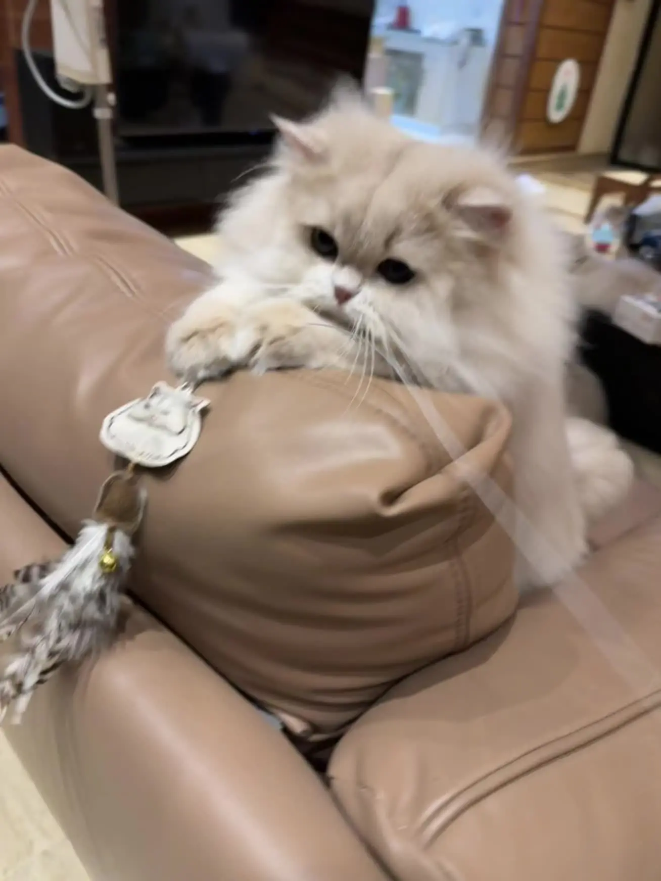 听说有人想要一个全是小小的post