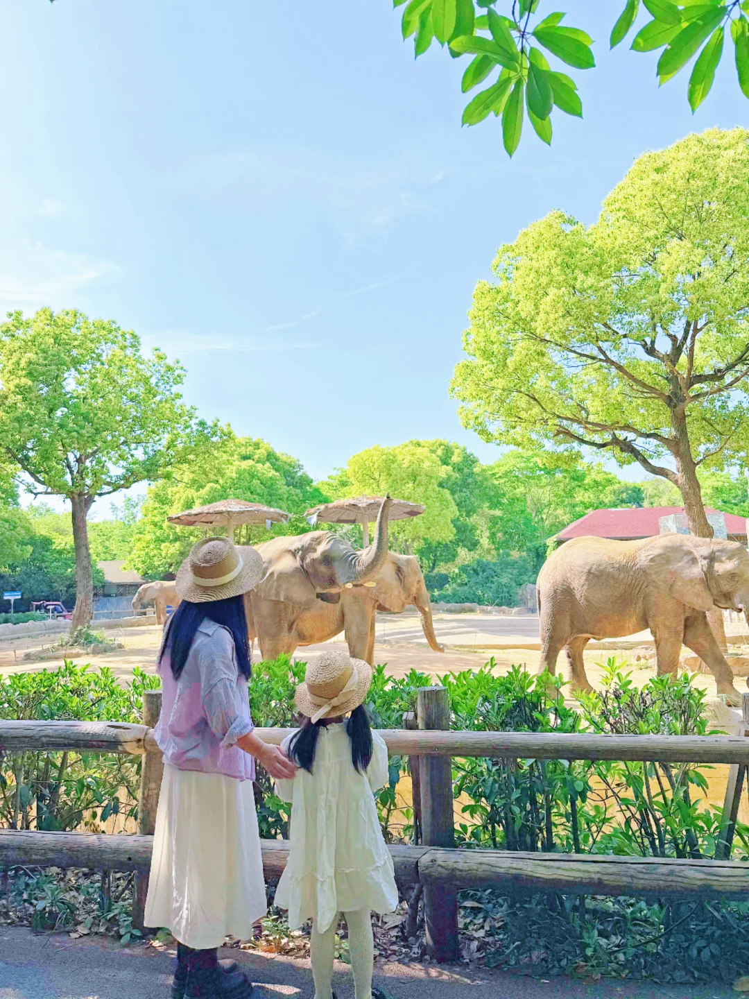 真实有效！已开奖兑奖！全新露营推车🏕️