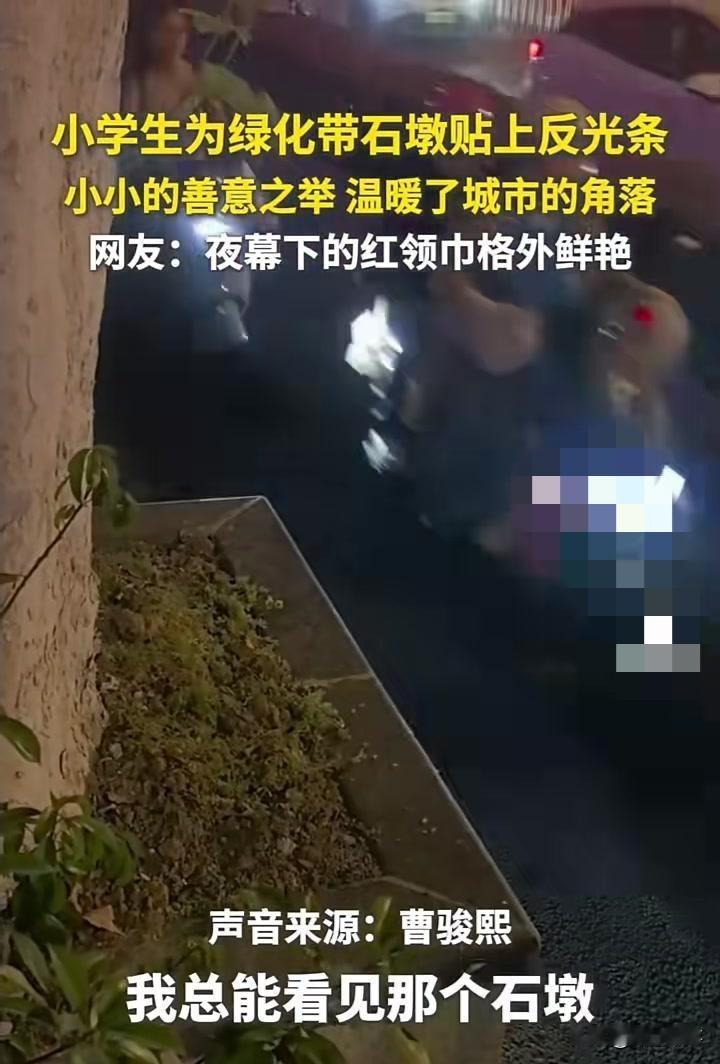 “人怎么可以这么聪明！”南京，一小学生发现路上绿化带石墩，天黑时老是看不清，于是