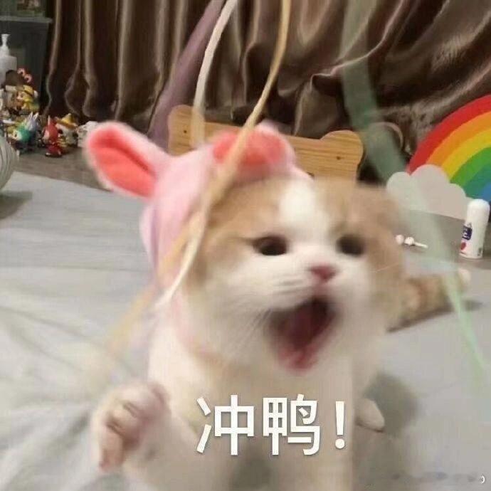 淘宝百亿补贴家电最高降9000元哇哇哇这个活动真的太棒了，你们不冲我先冲了[打c