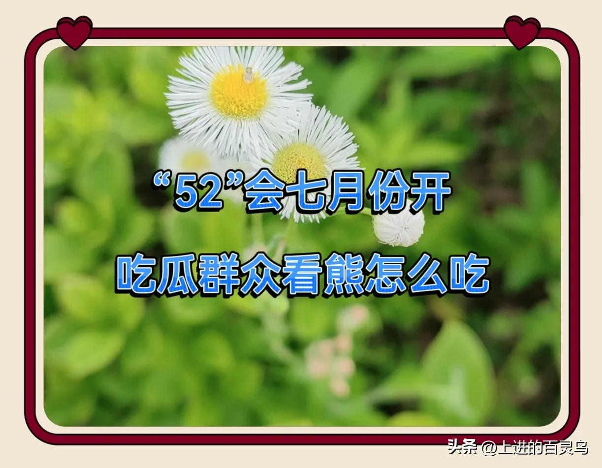 “52”会议即将在本月召开，已经确定了时间，柴桑大姐在直播时透露。小熊一直说没有