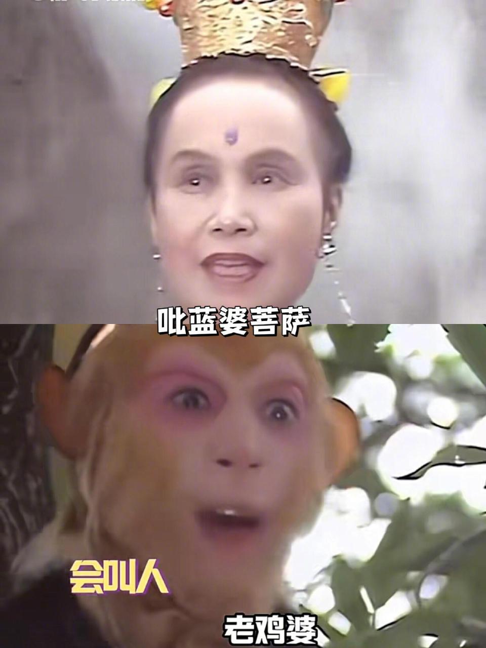 孙悟空起绰号专业户第一人 ​​​