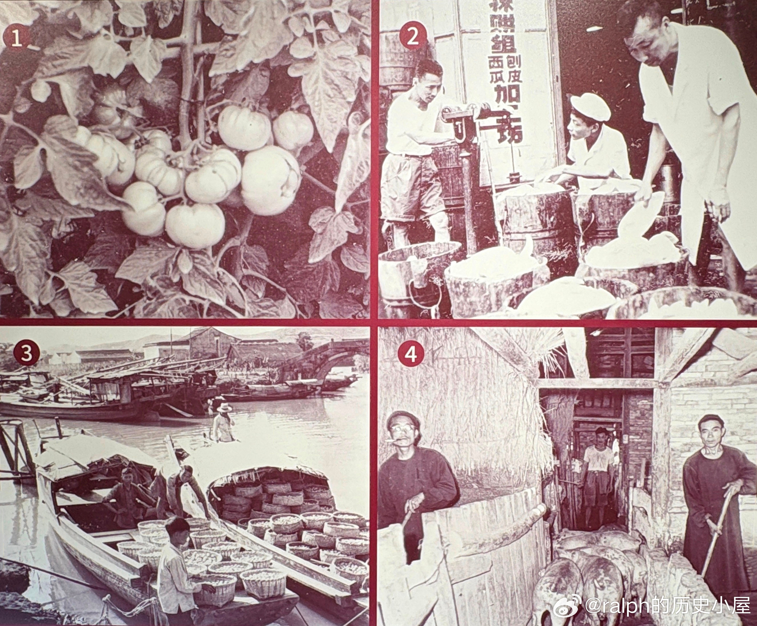 50年代末为了保证生产供应和原料质量，上海益民食品一厂建立了一批自己的原料生产基