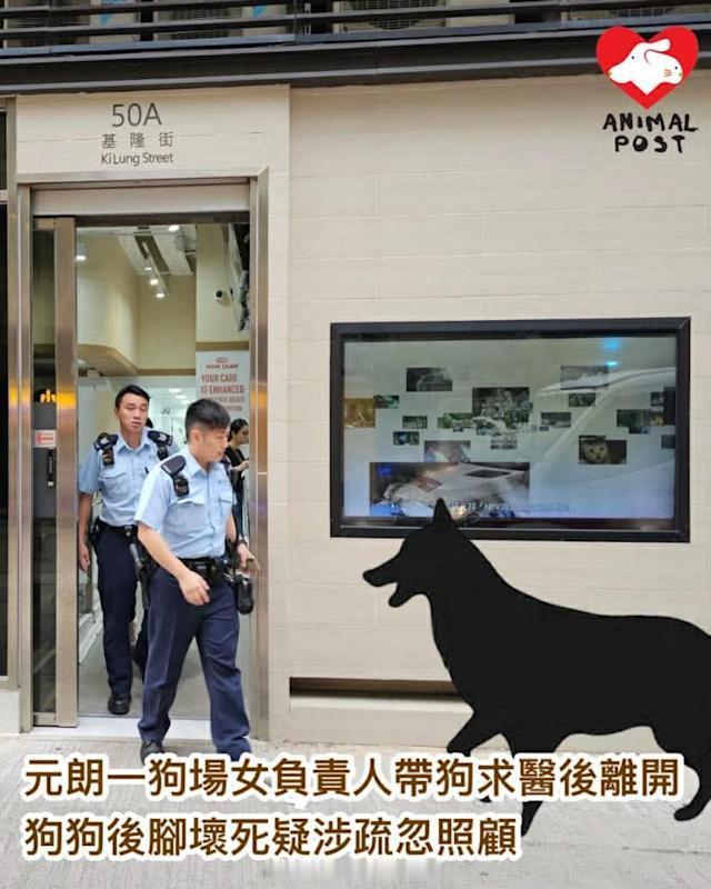 要爱护动物狗狗香港执法香港刑法 「新界元朗一狗場女負責人帶狗到獸醫診所求醫後離開