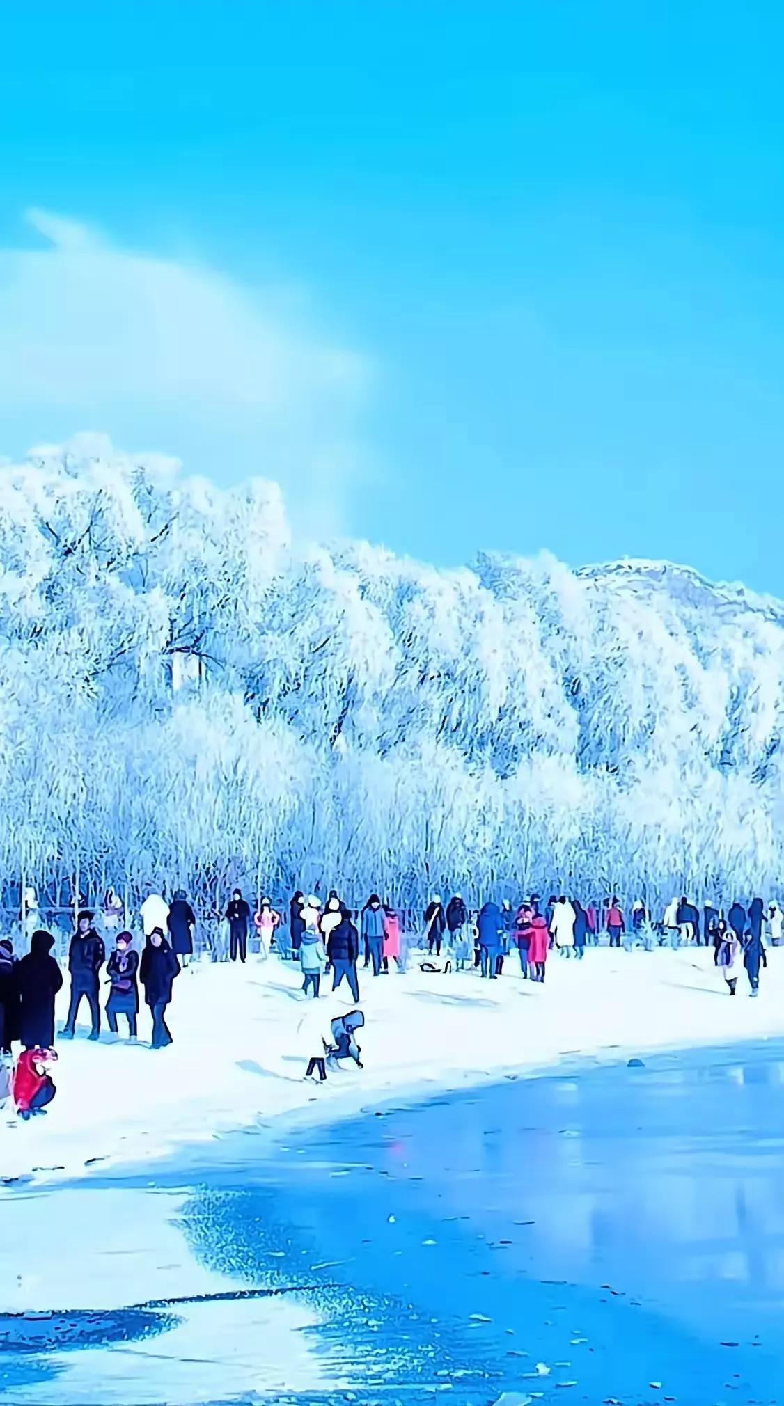 中国最美的雾凇在哪里?在吉林市❄️❄️❄️❄️❄️❄️独特雾淞美景自然形成❄️❄