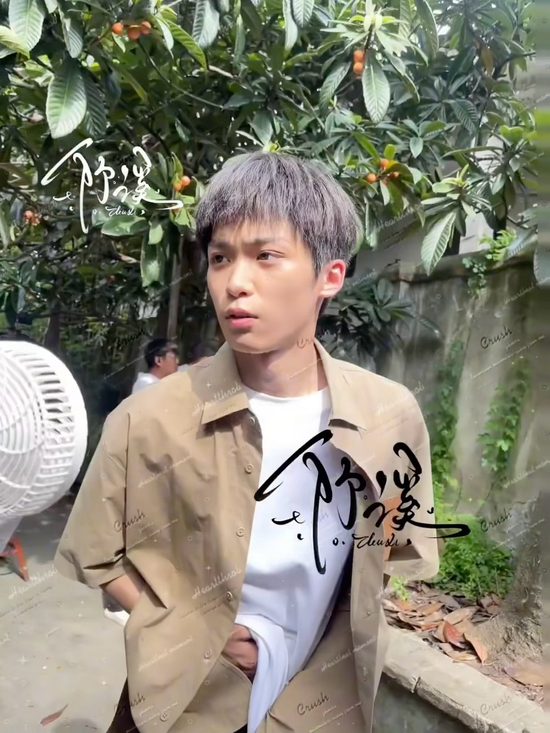 老宅枇杷树版老鼠干cr.竹溪 