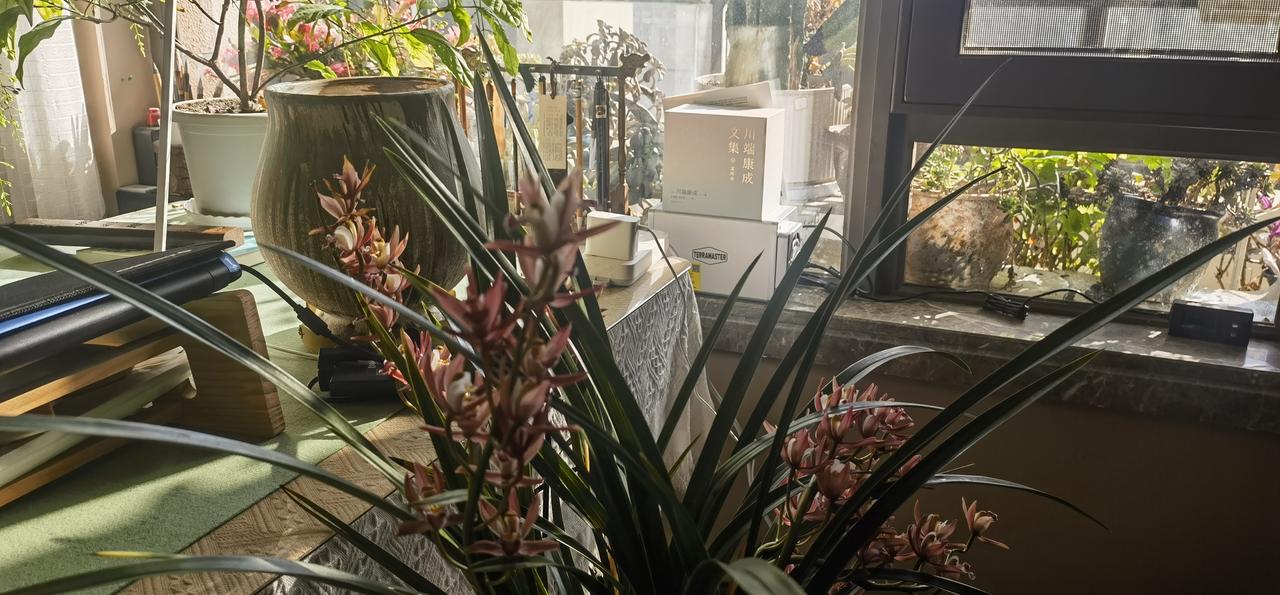 随手拍一拍记录美好时光冬日暖阳