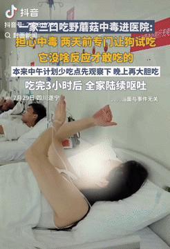 一家子都是人才！四川遂宁，一家三口吃野蘑菇前怕有毒，竟灵机一动——先喂自家狗试吃