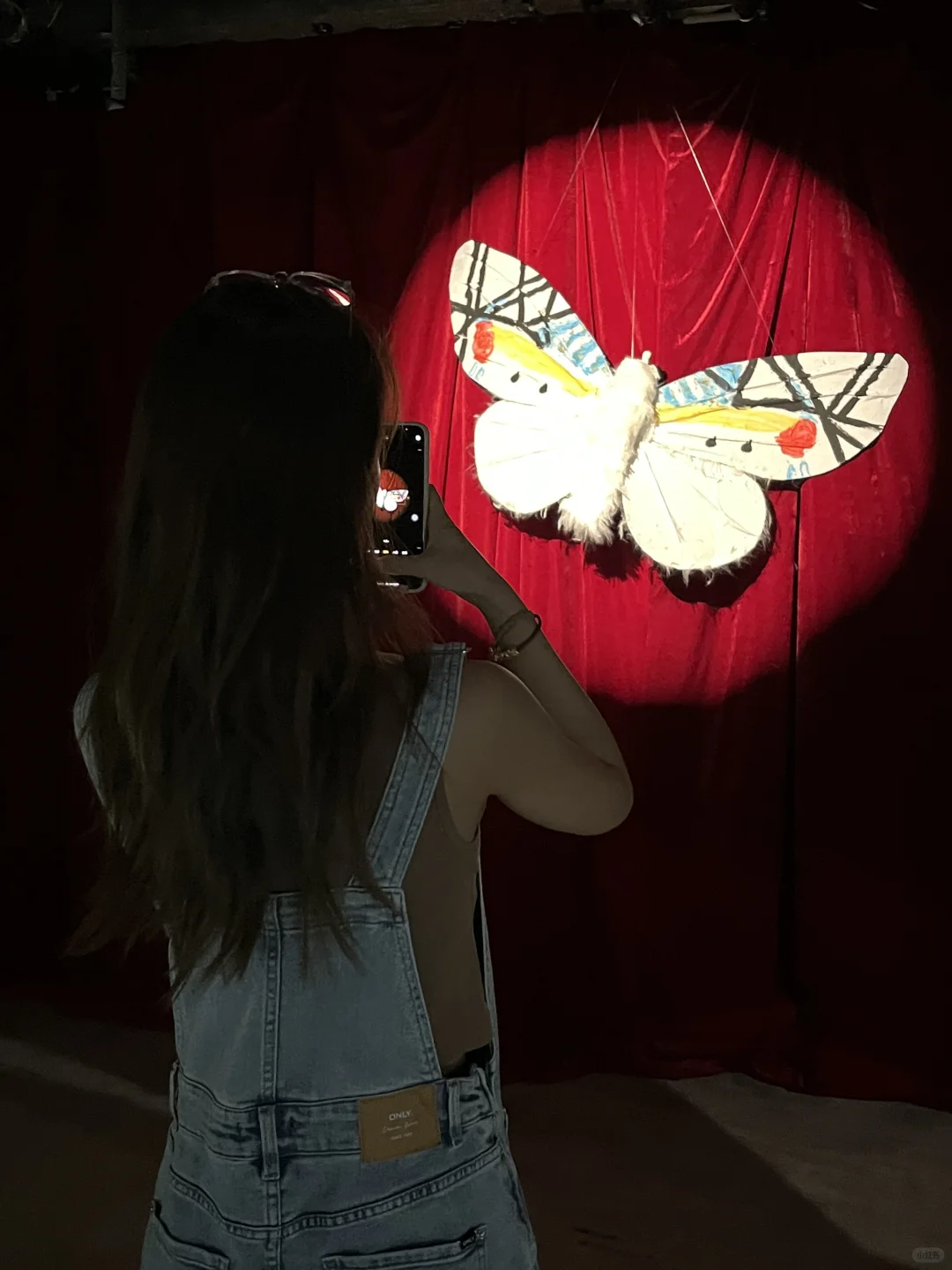 一头钻进博物馆｜南京“怪物”展来了🦋