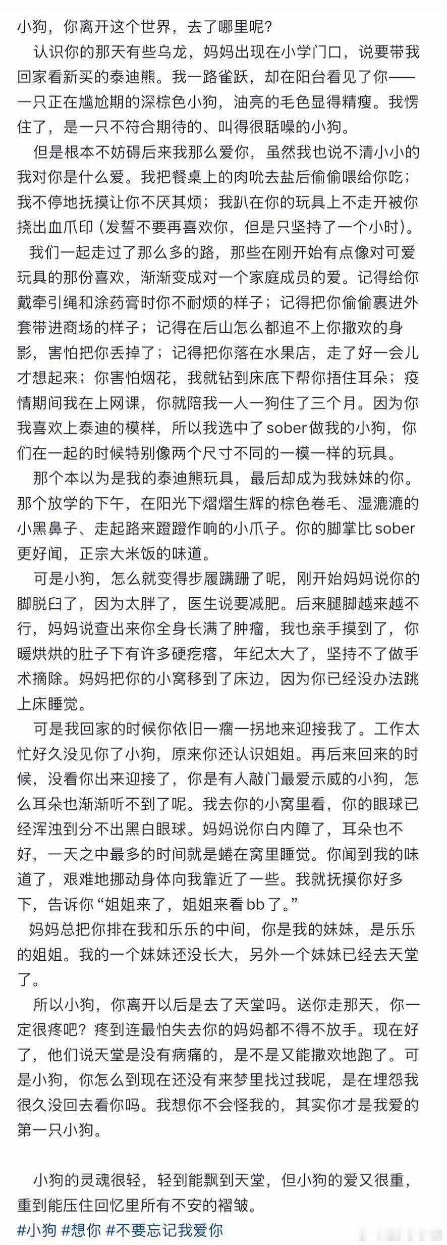 沈羽洁文笔沈羽洁写给去世小狗的长文太好哭了😭