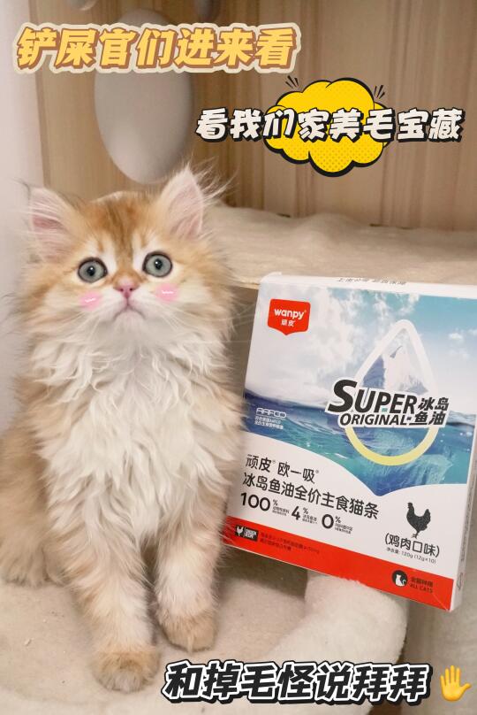 回购N次！这款鱼油猫条真的绝了！