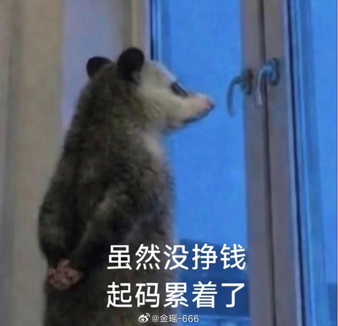 老铁们，金姐今天起晚了一点点闹钟响、心想眯几分钟，突然惊醒已过半小时了