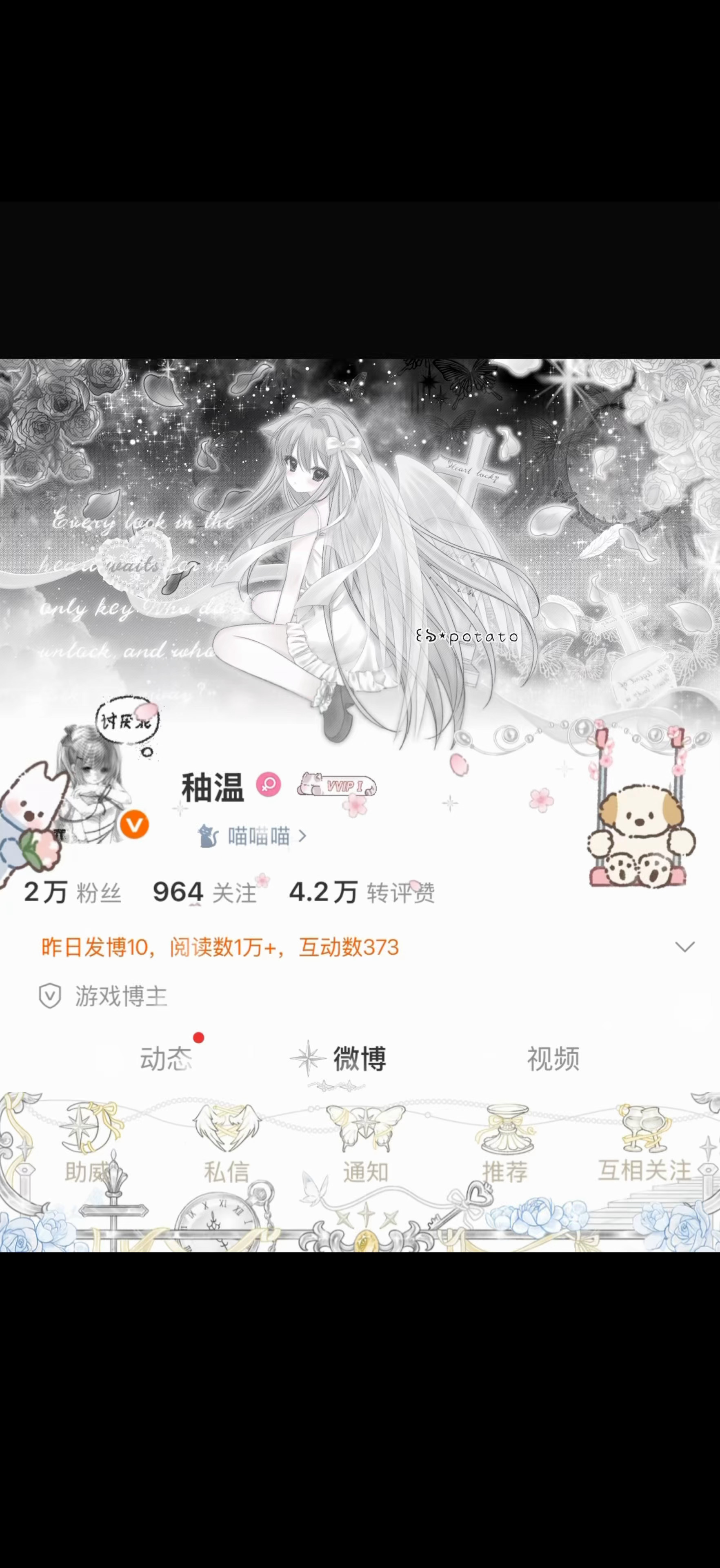SSR交换站 宝宝们选 1还是2 