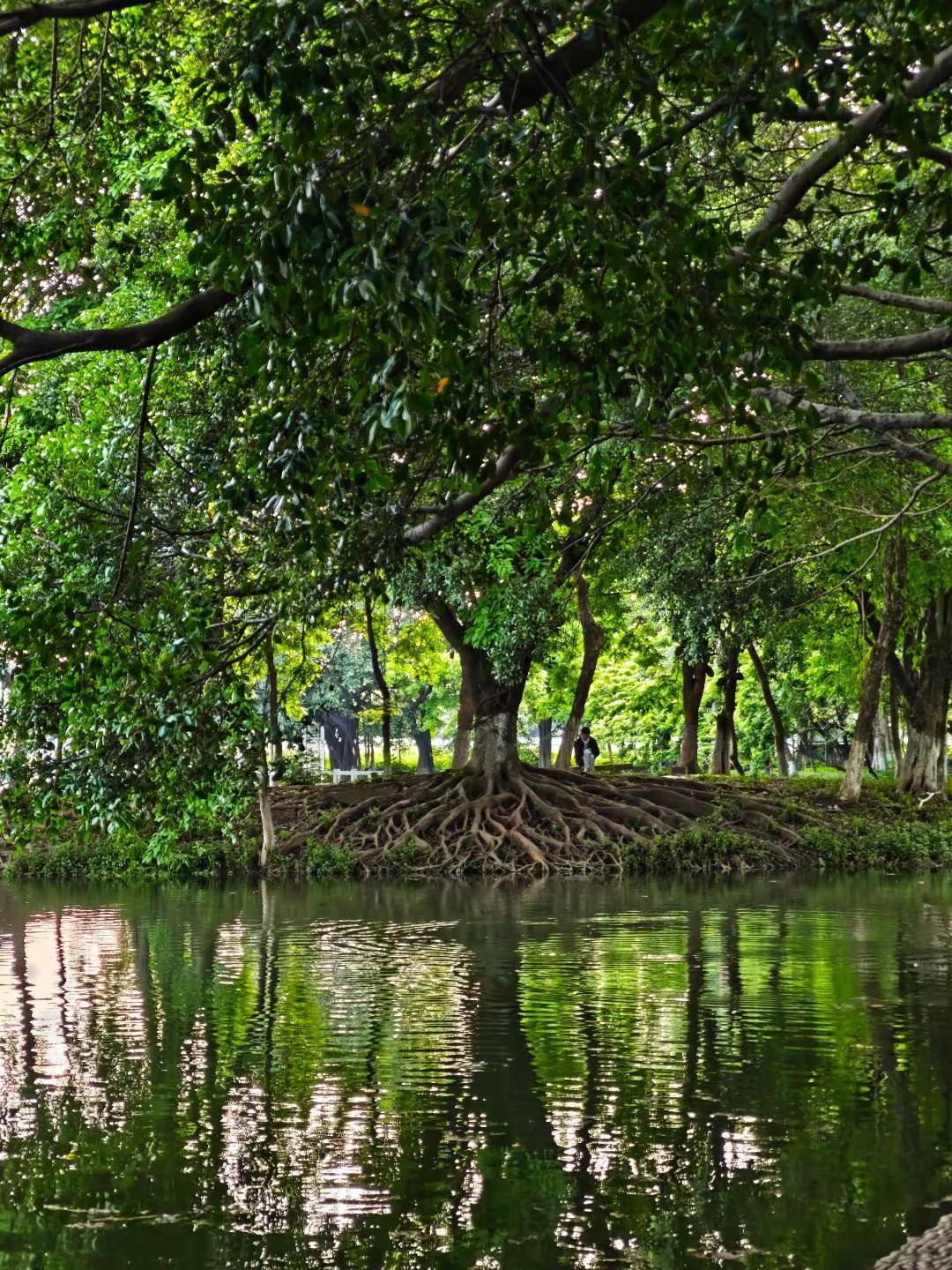 广佛地铁直达🌳佛山最爱的免费公园找到了 【北滘公园】真的是被低估的佛山宝藏地?