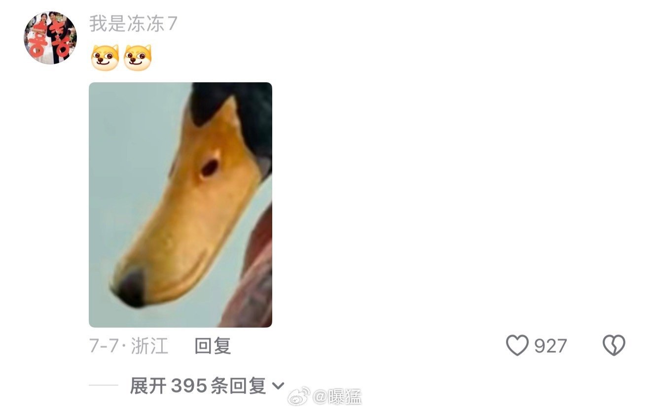 绿头鸭的嘴巴很像柴犬……