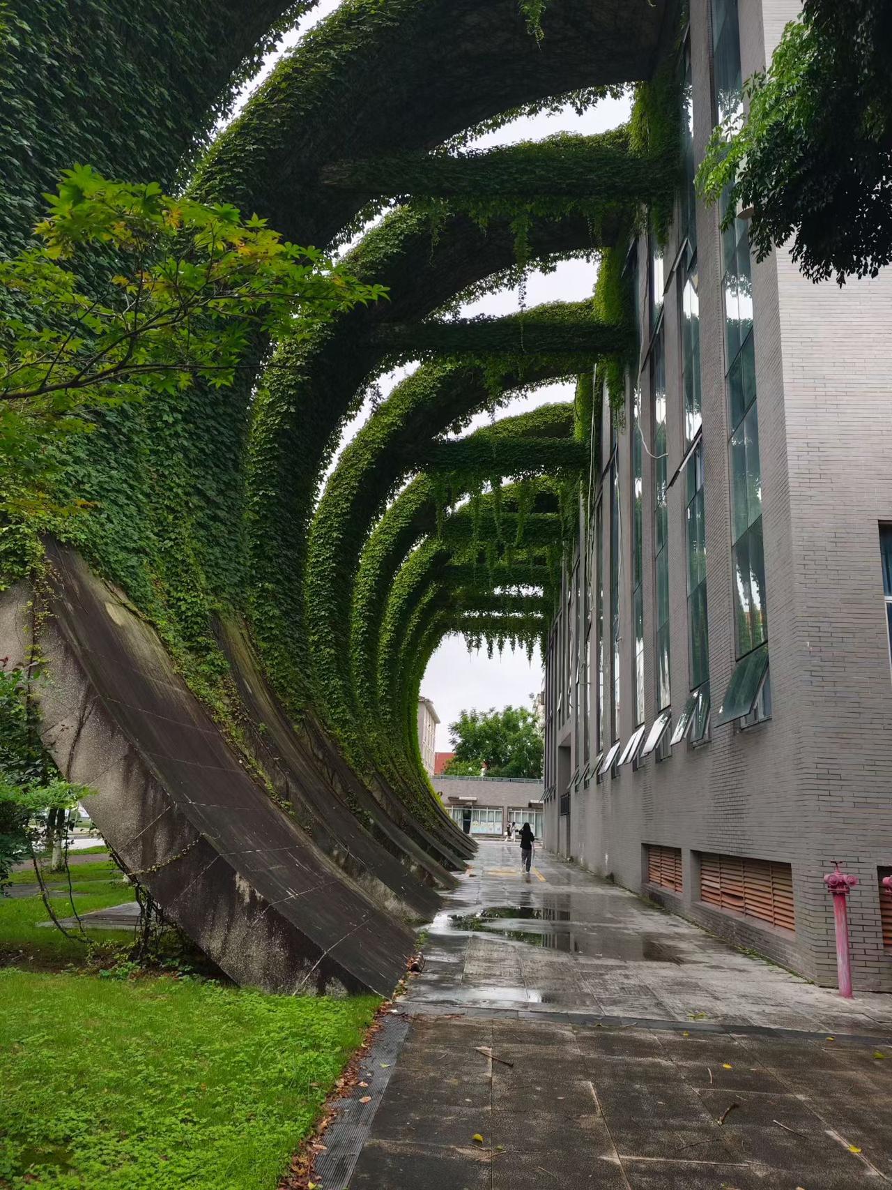 “冻货偏航”、小面侵权、小桔告小橘等等，这个年代，到底是什么的情况？

为了钱而