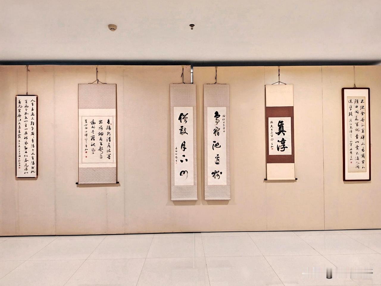 豪华落尽见真淳（四）
——朱长河书法艺术展