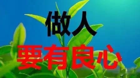 先有甲醛泡白菜，再有敌敌畏给餐厅消毒，我们这个世道怎么了？是人心坏了，还是什么事