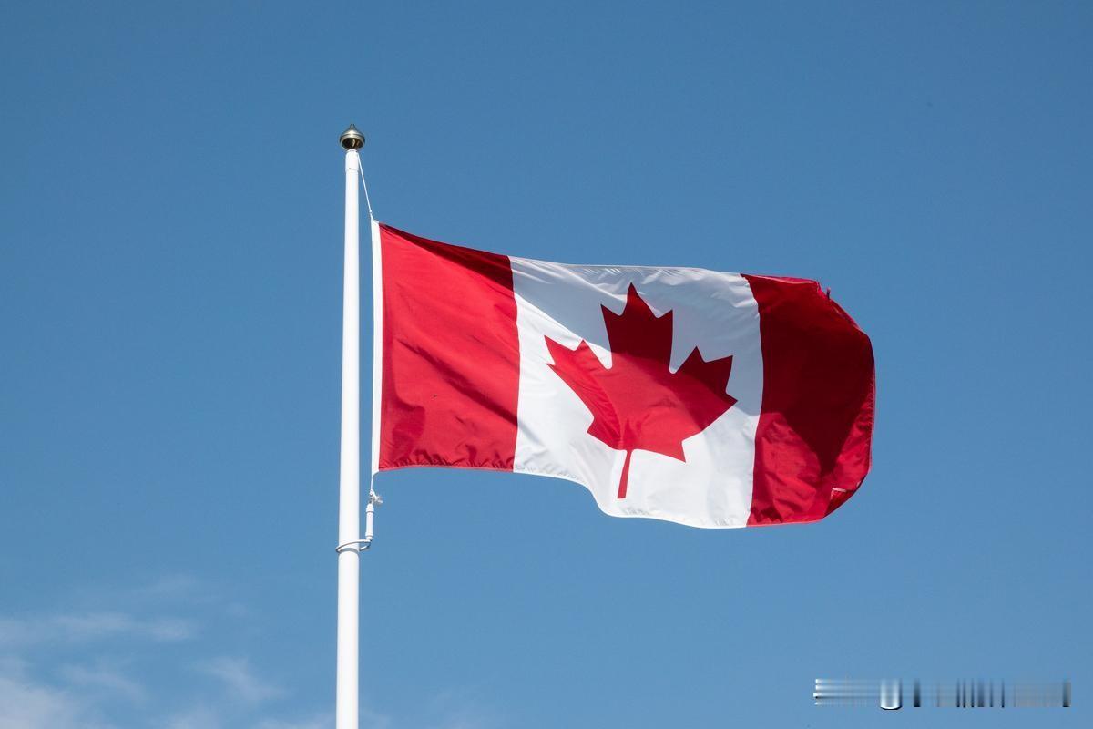 加拿大总理卡尼要做两件事：
1、大力建设电动汽车充电桩，让加国买了电动车的民众随