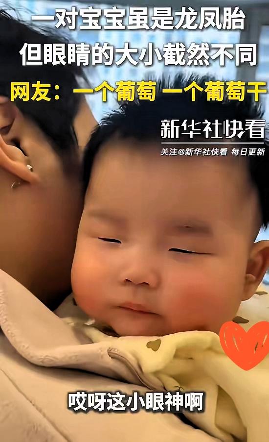 双胞胎“眼”趣，萌化人心

科学解释不了的奇妙，在这对双胞胎身上尽显。他们因独特