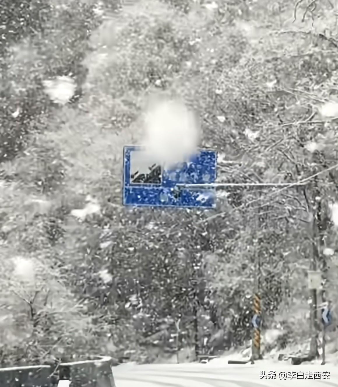 今天上午城里太阳🌞还出了一会

中午气温急转直下，

原来是秦岭分水岭下雪了，